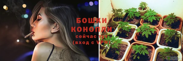 молекула духа Сатка